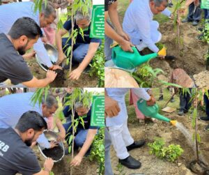 Addverb Conducts Tree Plantation Drive - fyi